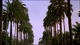Beverly Hills Cop Movie Trailer
