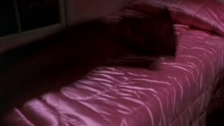 Night of the Creeps Movie Trailer