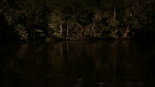 Hatchet Movie Trailer