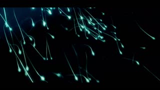My Sister's Keeper Movie Trailer