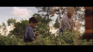Bless Me, Ultima Movie Trailer