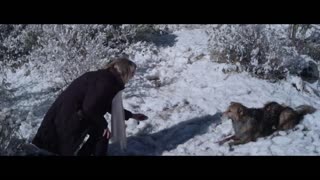 Darling Companion Movie Trailer