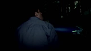 Bigfoot: The Lost Coast Tapes Movie Trailer