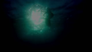 Storm Surfers 3D Movie Trailer
