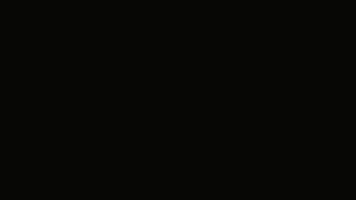 Silent House Movie Trailer