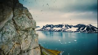 To the Arctic 3D Movie Trailer