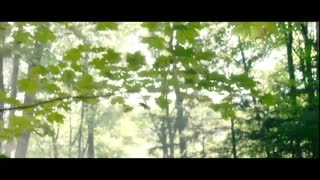 I Declare War Movie Trailer