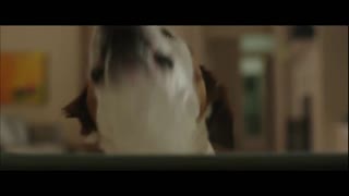 Stuck in Love Movie Trailer