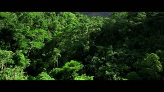 The Green Inferno Movie Trailer