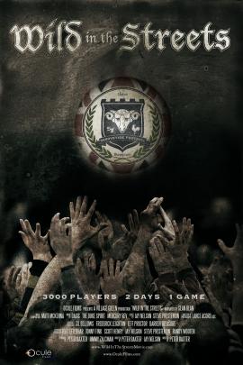 Wild in the Streets 2012 movie poster