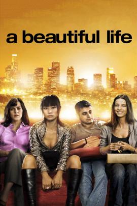 A Beautiful Life 2008 movie poster