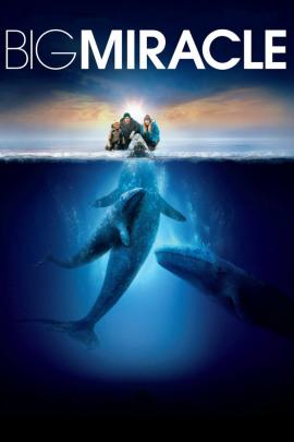 Big Miracle 2012 movie poster