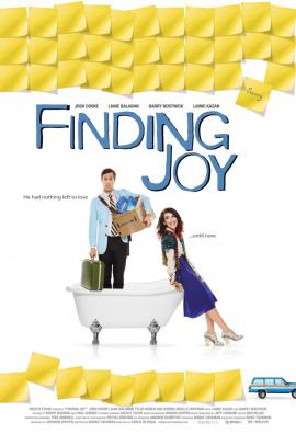 Finding Joy 2013 movie poster