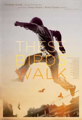 These Birds Walk 2013 movie poster