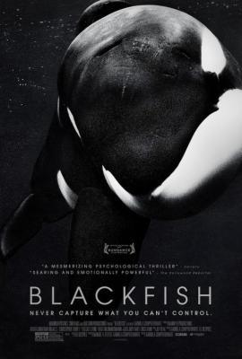 Blackfish 2013 movie poster