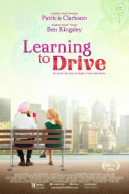 Learning to Drive 2014 movie poster